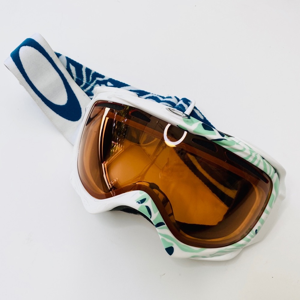 Oakley Elevate Snow Goggles